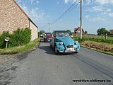 Zandlemig Vlaanderen